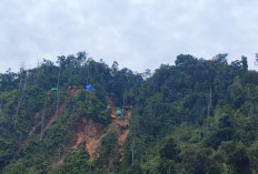 Tambang Ilegal Ditertibkan, Ratusan Hektare Lahan Kembali ke Negara