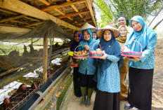 Kabupaten OKU Timur Masuk Nominasi Peraih Juara Tingkat Provinsi Sumsel, ini Programnya