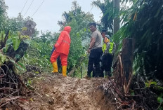 Longsor, Akses Jalan Sungai Are Terganggu