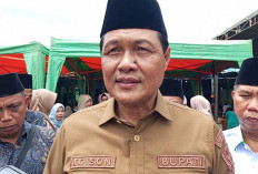 Edison: Penentuan Ganti Rugi Flyover Murni Kewenangan KJPP