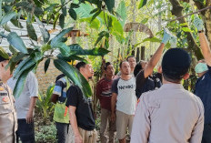 Diduga Masalah Ekonomi, Remaja di OKU Timur Gantung Diri