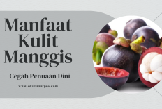 5 Manfaat Kulit Manggis, Terutama dalam Hal Pencegahan Penuaan Dini