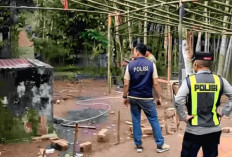 Polres OKU Bongkar Arena Judi Sabung Ayam