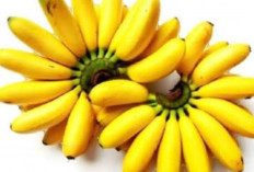 Mengatasi Anemia dengan Mengonsumsi Buah Pisang : Solusi Alami yang Efektif 