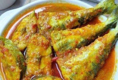 Resep Ikan Tenggiri Asam Pedas, Cocok Untuk Ide Jualan yang Lezat