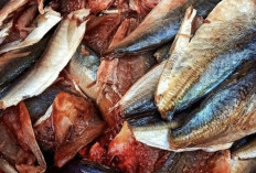 Manfaat Ikan Sarden dalam Mencegah Penuaan Dini