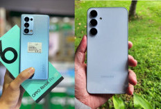 Persamaan OPPO Reno6 Pro 5G  dan Samsung Galaxy A55 5G, Hp Harga Kantoran