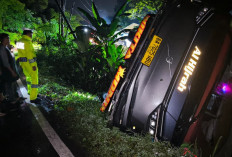 Bus PO Anugerah Masuk Jurang di Lahat, Laporan Darurat 110 Selamatkan Penumpang