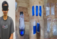 Bandar Besar di OKU Timur Tumbang, 54 Gram Sabu Disita 