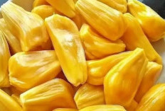 Selain Kaya Kandungan Nutrisi, Nangka Juga Bermanfaat untuk Kesehatan, Berikut Daftarnya