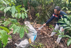 Rekayasa Kasus Amuk Massa Terungkap, Ternyata Korban Tewas Akibat Pengeroyokan