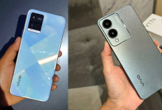 Info Hp Vivo Y21a dan Vivo Y17s, Harga Selisih Tipis