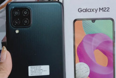 4 Hp Terngkau dengan Fitur NFC, Samsung Galaxy M22