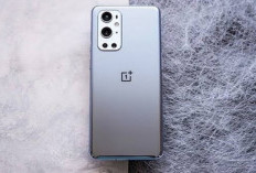 OnePlus 9 Pro: Kamera Hasselblad yang Mengubah Dunia Fotografi Smartphone