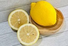 Mengatasi Panas Dalam Dengan Megomsumsi Jeruk Lemon, Begini Caranya