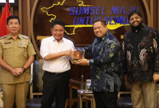 Bahas Prioritas Pembangunan dan Potensi Investasi di Sumatera Selatan