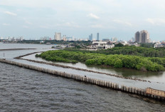 Progres Proyek Pembangunan Tanggul Pengaman Pantai NCICD Paket 2 Tembus 69%