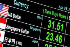 Bank Indonesia: Cadangan Devisa Mei 2025 Tetap Tinggi