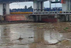 Pesisir Komering Tiap Tahun Kena Langganan Banjir, Pemerintah Diminta Carikan Solusi