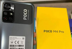 Poco M4 Pro: Hp Murah, Bertenaga, Kamera 64 Mp, Layar AMOLED 90Hz