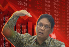 FDI Purbaya