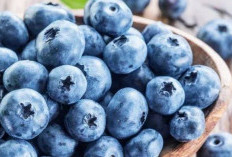 Blueberry, Superfood Ampuh untuk Melawan Penuaan Dini