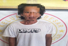 Bawa 165 Kg Brondolan Sawit, Pria di OKU Diamankan Petugas