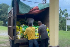 Tekan Lonjakan Harga Beras, Salurkan 2 Ton Beras Murah