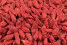 Goji Berry, Pilihan Sehat Dalam Membantu Meningkatkan Energi