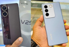 Perbandingan Vivo V27 5G Vs Vivo V29e, Hp Harga 4 Jutaan Ini Pertimbangan Sebelum Beli