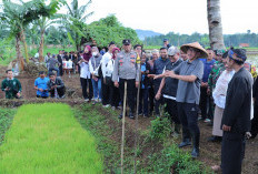 Dorong Desa Maksimalkan Lahan