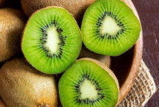 Selain Minum Herbal, Ternyata Mengonsumsi Buah Kiwi Bisa Menurunkan Berat Badan