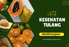 Khasiat 5 Buahan Ini dapat Menjaga Tulang Tetap Sehat dan Kuat, Agar Tua Terhindar dari Pengeropsoan Tulang