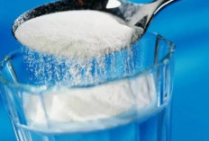 Fakta atau Mitos Merendam Kaki dengan Air Garam Dapat Redakan Sakit Asam Urat, Simak Ulasannya 