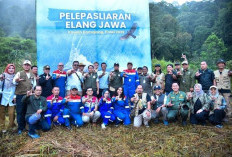 Lepaskan Elang Jawa, Menhut: Jangan Pelihara Satwa Liar
