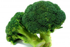 Jaga Keremajaan Kulit: Mengatasi Penuaan Dini dengan Superfood Brokoli!
