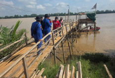Warga Pulau Rimau Hilang Diterkam Buaya, Polda Sumsel Maksimalkan Pencarian Korban