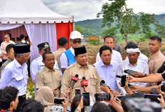 Menuju Kemandirian Energi, Presiden Prabowo Resmikan 37 Proyek Strategis Ketenagalistrikan 