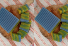 Resep Kue Lapis Teh Telang yang Nikmat dengan Warna Biru merekah