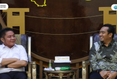 Dorong Percepatan Listrik Desa dan Penataan Jaringan PLN