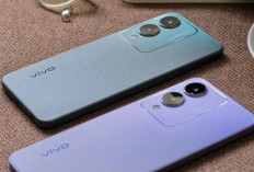 Mending Beli Hp Vivo Y17s atau Tecno Spark 20: Baik Pilih Mana?