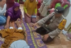 Diserang Beruang, Petani Alami Luka Serius