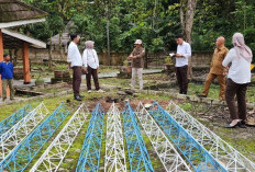 Tak Hanya WiFi Gratis, Pemkab OKU Bangun Infrastruktur Digital hingga Desa Terpencil