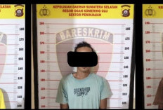 Polres OKU Tangkap Terduga Sindikat Pencuri Sawit