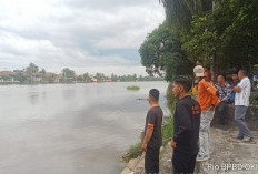 Buaya Terlihat di Sungai Komering Kayuagung, Warga Diminta Hati-Hati