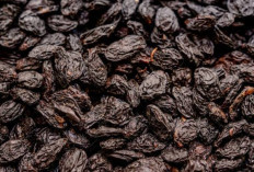 Menjadi Pilihan Sehat, Ternya Buah Prune Mampu Menjaga Kesehatan Pencernaan