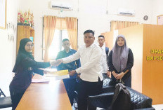 Disambut Baik oleh BKD, Aliansi Honorer Non Database BKN Gagal CPNS OKUT Usulkan Data Paruh Waktu