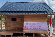 Satgas PRR Percepat Pemanfaatan Kayu Hanyutan Pascabencana di Sumatera