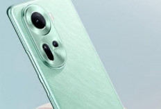 OPPO Reno11: Desain Premium Bertemu Performa 5G, Apakah Ini Smartphone Impian Anda?