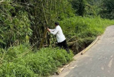 Jalan di Simpang Saga Rawan Longsor, Pengendara Diminta Kurangi Kecepatan